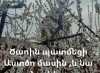 Ծառին պատմեցի ԱՍՏԾՈ մասին, և նա ծաղկեց. Լևոն Բաղդասարյան Ծառին պատմեցի ԱՍՏԾՈ մասին, և նա ծաղկեց. Լևոն Բաղդասարյան