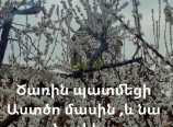 Ծառին պատմեցի ԱՍՏԾՈ մասին, և նա ծաղկեց. Լևոն Բաղդասարյան