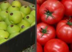 «Արցախի ջուրը թունավորել ցանկացողը Հայաստան կարտահանի նաև թունավոր մթերքներ». Լևոն Աճեմյան (տեսանյութ)   Hayeli