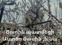 Ծառին պատմեցի ԱՍՏԾՈ մասին, և նա ծաղկեց. Լևոն Բաղդասարյան