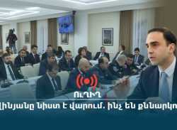  ՈւՂԻՂ. Ավինյանը նիստ է վարում. ինչ են քննարկում