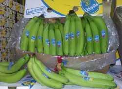 The businessman has imported 10 tons of bananas and to publish the entire process